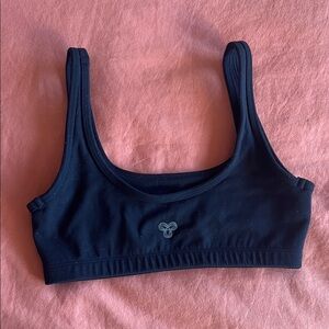 Aritzia TnAction Sports Bra